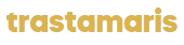 3tae.com
